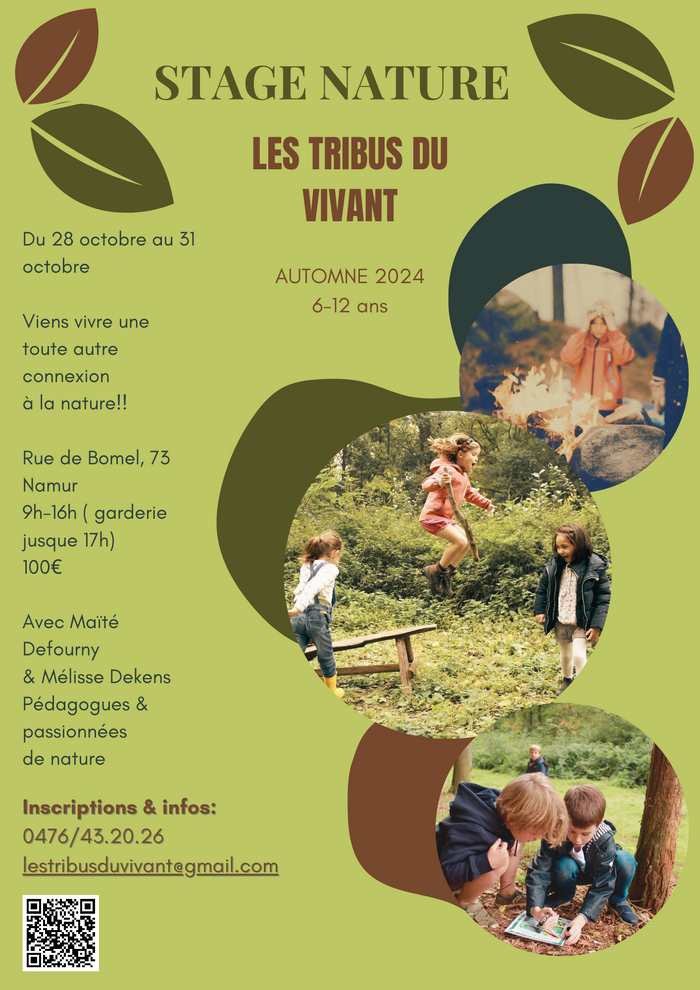 Flyers de présentation du stage d'automne 2024